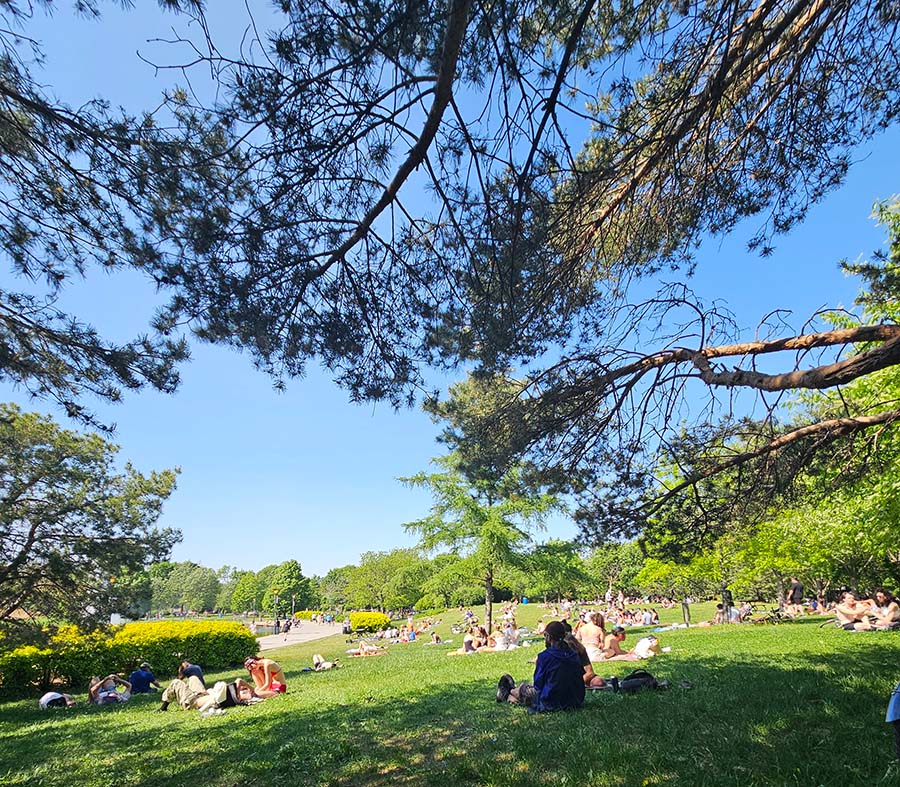 Parc Jarry em Montreal Norte